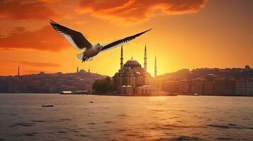 Silhouette of Istanbul cityscape seagull dramatic sunset sky photo