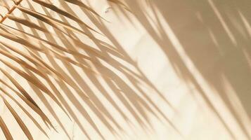 Top view of a palm leaf shadow on sandy backdrop with space for text photo