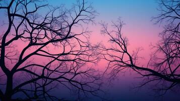 árbol rama silueta como antecedentes foto