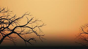 árbol rama silueta como antecedentes foto