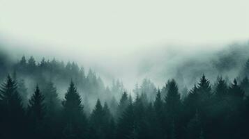 grueso blanco niebla y pesado lluvia capa el bosque árbol formas desaparecer en el niebla en medio de grano y textura de nubes foto