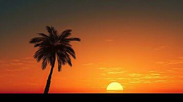 Silhouetted Asian palm tree during sunset photo