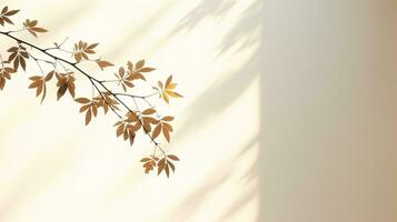 Shadow of leaves on white background with copy space Blurry leaf shadow in morning sunlight photo