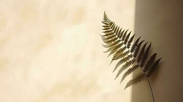 Fern leaf s shadow on a wall Natural backdrop space for text photo