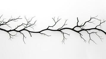 Outline of tree branches on a white backdrop photo