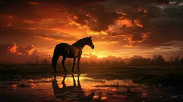 silueta de un caballo a puesta del sol foto