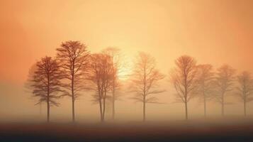 Misty autumn sunset with trees photo