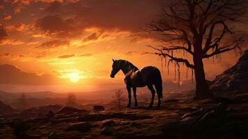 Sunrise with horse in the landscape photo