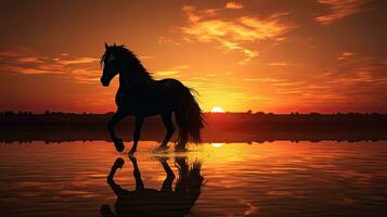 caballo silueta durante puesta de sol foto