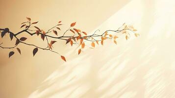 sombra de hojas en blanco antecedentes con Copiar espacio borroso hoja sombra en Mañana luz de sol foto