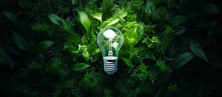 Sustainable lightbulb made from leaves emphasizing ecological energy conservation photo