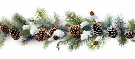 Snow covered fir tree branches with pine cones on white backdrop photo