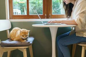 woman working from home with cat. cat asleep on the laptop keyboard. assistant cat working at Laptop photo