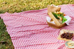 picnic almuerzo comida al aire libre parque con comida picnic cesta. disfrutando picnic hora en parque naturaleza al aire libre foto