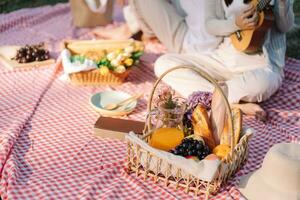 Picnic Lunch Meal Outdoors Park with food picnic basket. enjoying picnic time in park nature outdoor photo