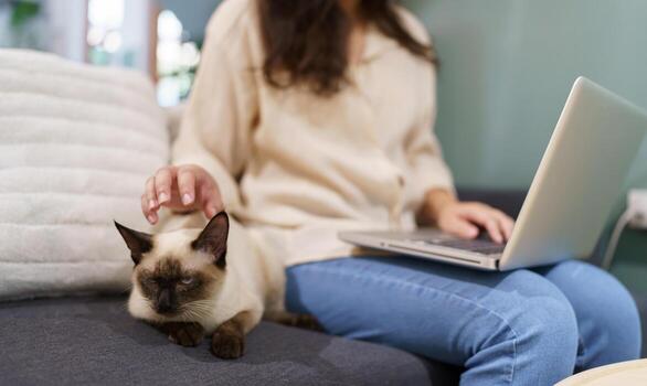 mujer trabajando desde hogar con gato. gato dormido en el ordenador portátil teclado. asistente gato trabajando a ordenador portátil foto