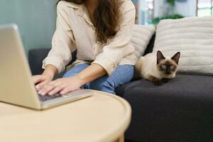 woman working from home with cat. cat asleep on the laptop keyboard. assistant cat working at Laptop photo