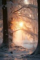 Natural Winter Forest Wallpaper photo