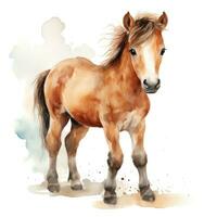 Cute watercolor pony isolated photo