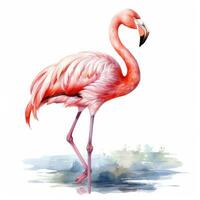 Watercolor pink flamingo isolated photo