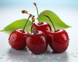 Red cherries isolated photo