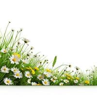 Spring grass and flowers background photo