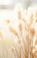 Abstract natural beige background photo