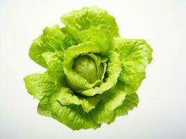 A green lettuce isolated photo