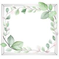 Watercolor eucalyptus leaves frame isolated photo