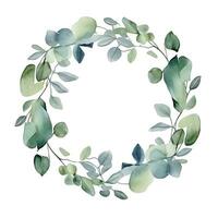 Watercolor eucalyptus leaves frame isolated photo