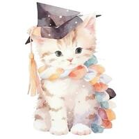 Cute watercolor cat in graduarion cap isolated photo