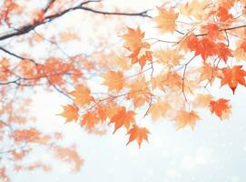Orange Autumn leaves background photo