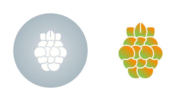 Raspberry Vector Icon