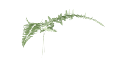 isoliert Gras, Baum und Kokosnuss Palme Blätter auf transparent Hintergrund png