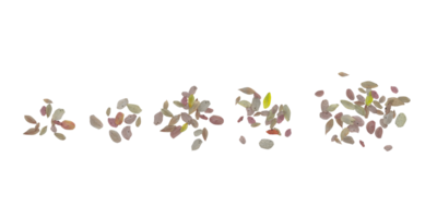 isoliert Gras, Baum und Kokosnuss Palme Blätter auf transparent Hintergrund png