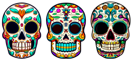 Decorated Sugar skull isolated. Day of the Dead. png