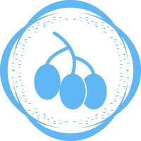 Berries Vector Icon