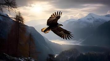 calvo águila Haliaeetus leucocéfalo blanco cabeza volador en el aire con montaña y tierras altas antecedentes bosque noche puesta de sol. ai generado foto