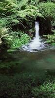pequeño cascada fluye dentro un estanque video
