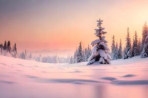 Landscape of winter snowy field with pine forest in the right and left, the shot taken from the surface ground level, clear sky in the evening. photo