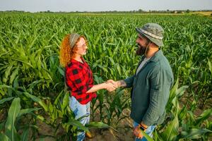 Portrait of farmers who are cultivating corn. Agricultural occupation. photo