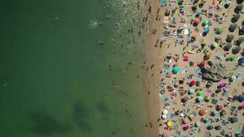 Birds eye view top down of people sunbathing on crowded beach on summer day in Cascais, Portugal video