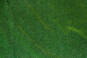 artificial grass texture for  background photo