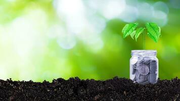 monedas en vaso tarro con planta en parte superior poniendo en suelo con luz de sol bokeh verde antecedentes. financiero inversión ideas para futuro crecimiento ganancias, arboles creciente en monedas foto