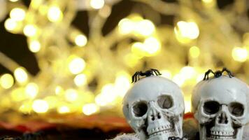 two skulls with spider webs on a table with a light background video