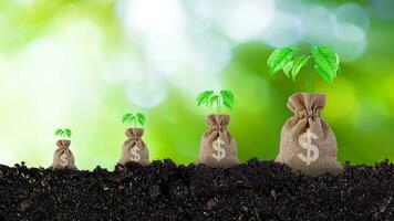 árbol creciente en pila de dinero bolso en un ahorros en suelo con luz de sol bokeh verde naturaleza antecedentes. negocio inversión ideas y financiero crecimiento foto