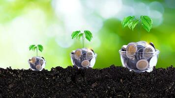 Coins in glass jar with plant on top putting on soil with sunlight bokeh green background. Financial investment ideas for future growth profits, trees growing on coins photo