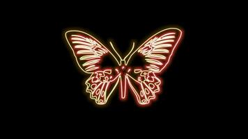 borboleta néon efeito video