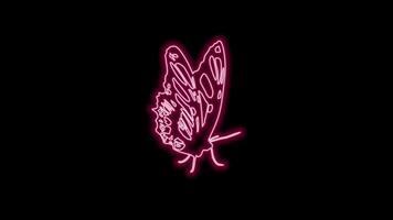 butterfly neon effect video