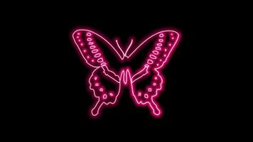 butterfly neon effect video